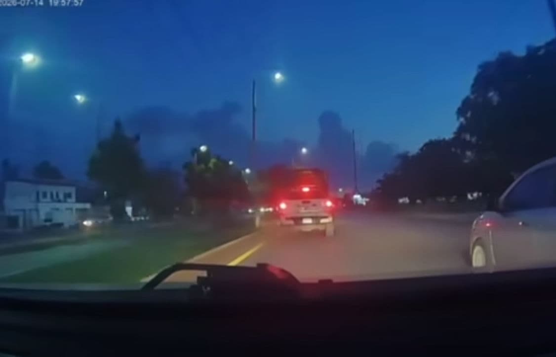 Tránsito de Cancún atropella a un perro; autoridades aseguran que el impacto fue inevitable